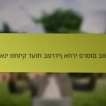 איך אני מחזיק דעות במרדף אחרי פרסום בוואלה