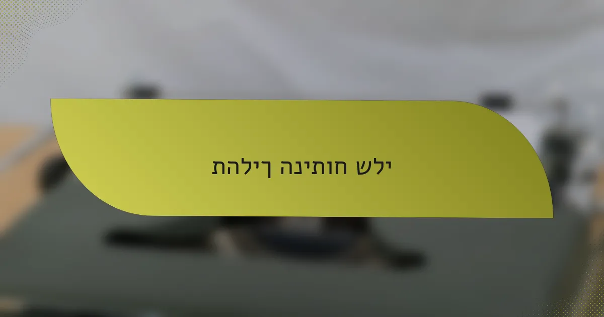 תהליך הניתוח שלי